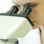 microscópio pesquisa verme prolonga vida verme