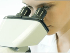 microscópio pesquisa verme prolonga vida verme