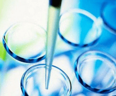 bio controle de qualidade