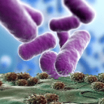 bactéria vírus hiv