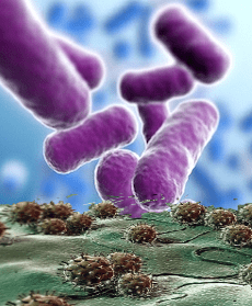 bactéria vírus hiv