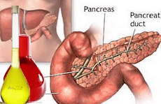 pancreas-exame-amilase-sangue