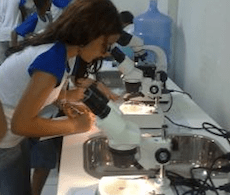 descobrindo-a-ciencia