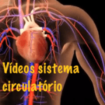 sistema-circulatorio
