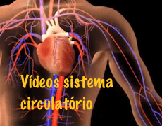 sistema-circulatorio