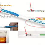mergulhar-tira-teste-gravidez-urina