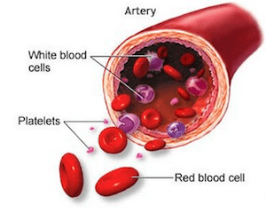 anticorpos anti plaquetas