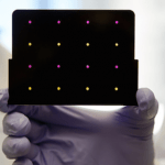 teste rápido para detecção de vírus zika, teste barato