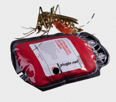 transfusão de sangue e o zika vírus