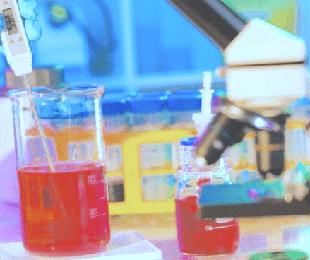 exame leptina como fazer