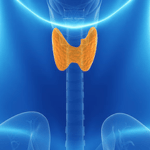 tireoide exame antitireoglobulina