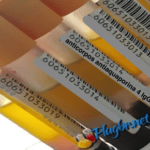 exame antiaquaporina diferencia NMO de esclerose