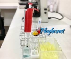Exame sangue teste laboratório