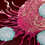 Células câncer vitamina C em dose alta