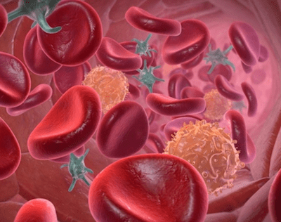 plaquetas valor baixo exames e sintomas