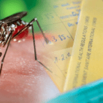 Vacina febre amarela recomendação de dose única pelo MS