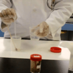 Exame de fezes. material pode guardar na geladeira