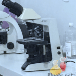 Microscópio pesquisa de lâmina gram