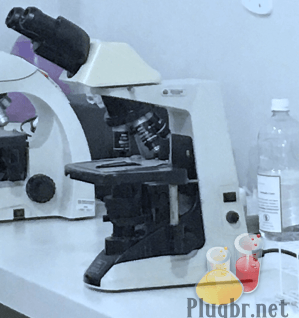 Microscópio pesquisa de lâmina gram